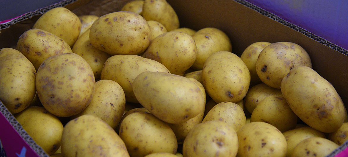 Maggie's Fruit and Veg has everything you will require including fresh vegetables from our Portree shop