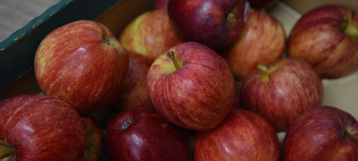 Contact Maggie's Fruit and Veg to purchase your fresh fruit and vegetables in Portree