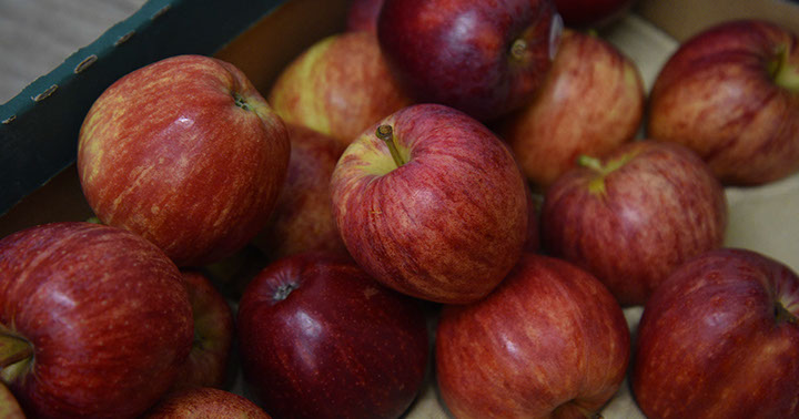 Contact Maggie's Fruit and Veg to purchase your fresh fruit and vegetables in Portree